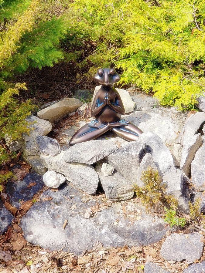 New Buddha Bing Unique Experience Cottage And Cabins Tobermory Exterior foto
